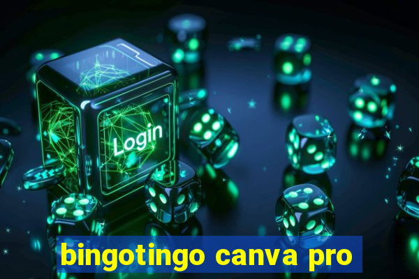 bingotingo canva pro